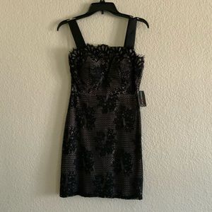 Teeze me black & nude lace fitted dress